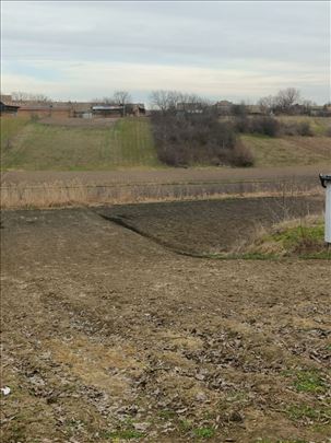 Dolovo, njiva od 22ara.