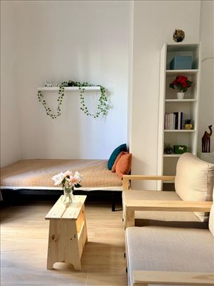 Francuska, Nica , apartman