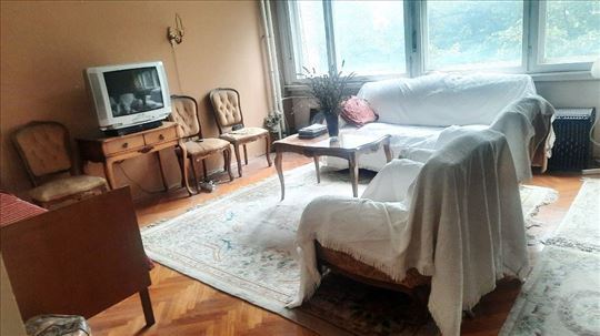 Lion, odlična lokacija, dobra ponuda, cg, svetao