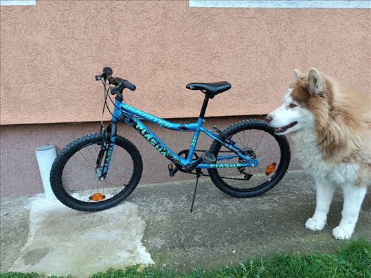 Decij bicikl Booster Plasma 20 sa brzinama plava