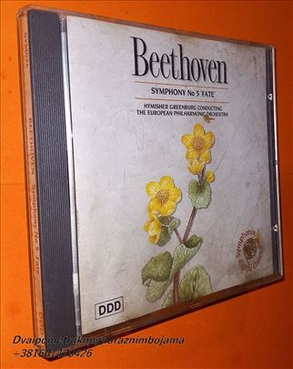 Symphony No 5  Fate Beethoven