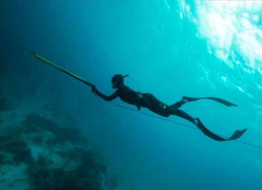 Sve za podvodni ribolov na jednom mestu 