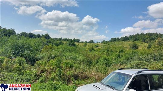 Boljevac, Rtanj - Bačevica 8ha 34ara 61kvm