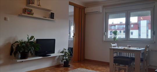 Dr.Ivana Ribara, 1.5, 44m2, Lep, Miran, Svetao