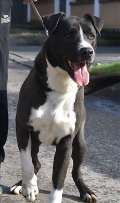 Moma - lep, veseo i sjajnog karaktera