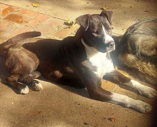 Moma - lep, veseo i sjajnog karaktera