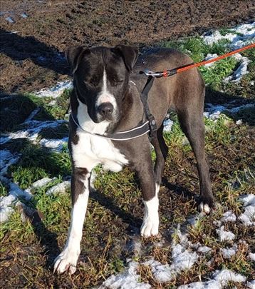 Moma - lep, veseo i sjajnog karaktera