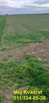 Zemun, Ugrinovci – Zemunska