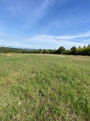 Mladenovac (Beograd), Amerić, Zemljište, 11766m2