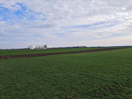 Plac u industrijskoj zoni Nove Pazove, hitno!