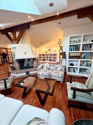 Skadarlija, Moze kao poslovni prostor, Vlasnik