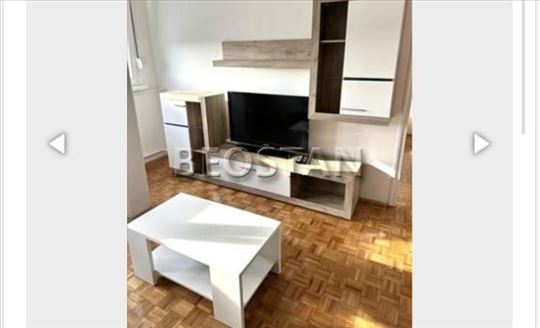 Novi Beograd - Opstina #62943