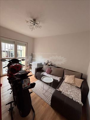 Izdajem prelep stan sa Dvorištem - Šumice