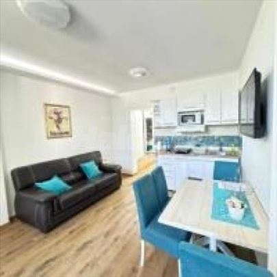 Apartman stan Banja Vrdnik