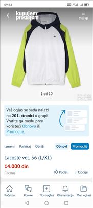 Lacoste vel. 56 (L/XL)