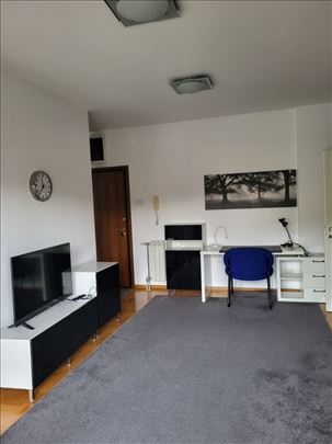 Vračar, dvosoban, odmah useljiv