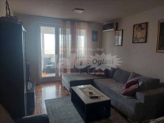 Izdajem stan,Sremčica,Sare Bernar