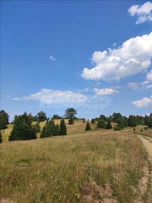Prodaja placa na planini Tara