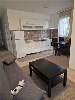 2,5 namešten,Zemun,Prvomajska