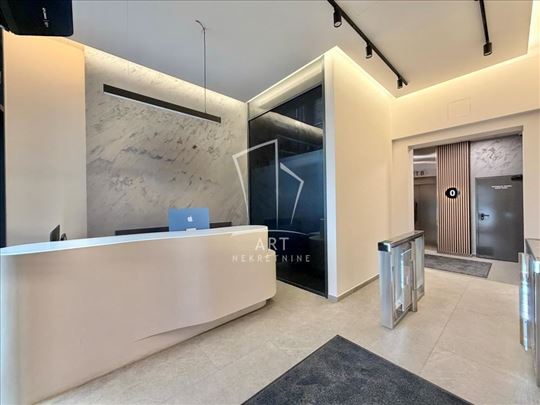 Izuzetan poslovni prostor na Nbgd ID#14167