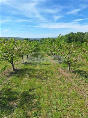 Prodaje se poljoprivredno zemljište 