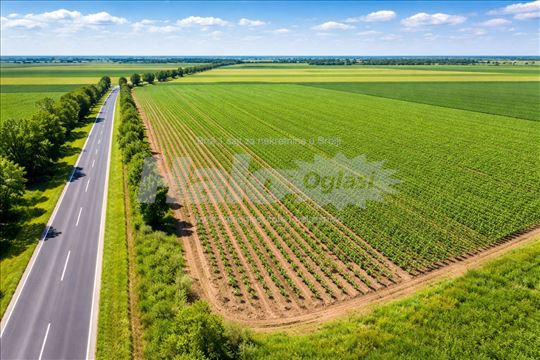 Poljoprivredno zemljište, potez Žabalj-Zrenjanin