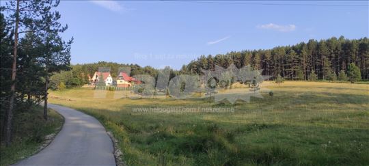 Zlatibor, Vodice kod El Pasa, 300 ar