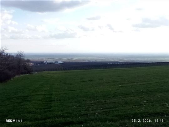 M.Remeta polj.zemlj. 5000m2 pored Ruže Vetrova !