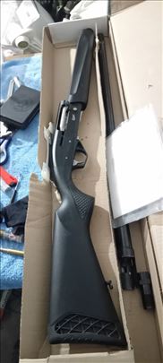 Mp 155