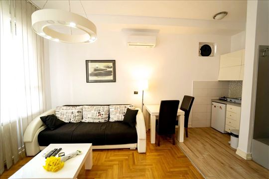 Pet friendly, manji dvosoban stan na Vračaru