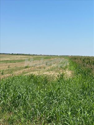 Poljoprivredno zemljište 113 ar Stari Banovci