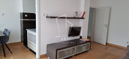 Renoviran prazan stan za izdavanje u Bloku 21, 6 k