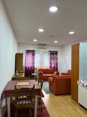 Izdajem stan u Velikom Mokrom Lugu