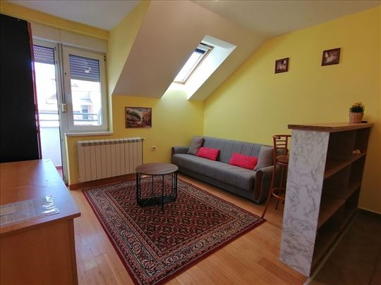 Nameštena veća garsonjera 28m2 Janka Čmelika 