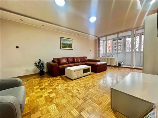 Veoma lep i osunčan stan na Lionu