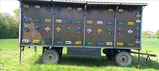 Pčelarska prikolica Dubrava i Pobedovka