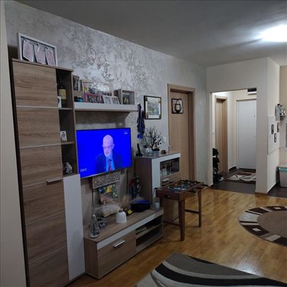 Stepa Stepanović, 46m2