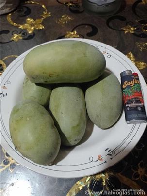 Indijanska banana PAW-PAW dvogodisnje sadnice