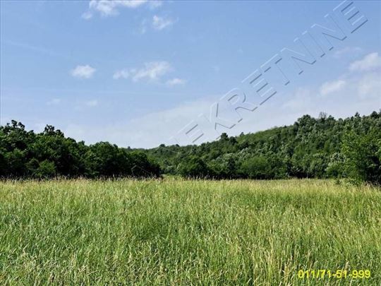 Mladenovac,Amerić,104m2,184m2,85m2, imanje,4ha,gas