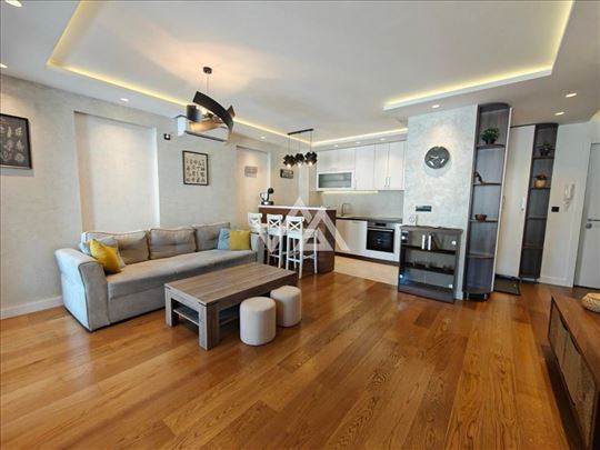 Izdaje se 2.5 stan, Vračar (Kapije Vračara)