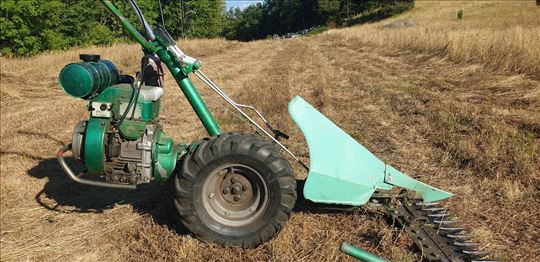 Kosačica čeona voćarska