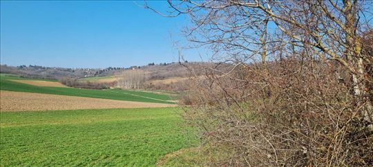 Maradik, poljoprivredno zemljište 1254m2 Hitno