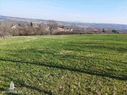 Odličan plac u Barajevu, Veliki Borak ID#1006