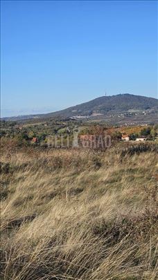 Plac Ripanj, odlična prilika