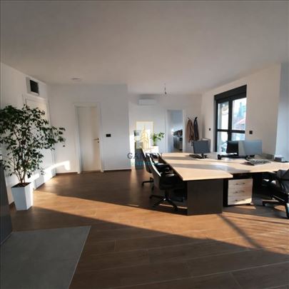 Poslovni aprtman Pionir Palas