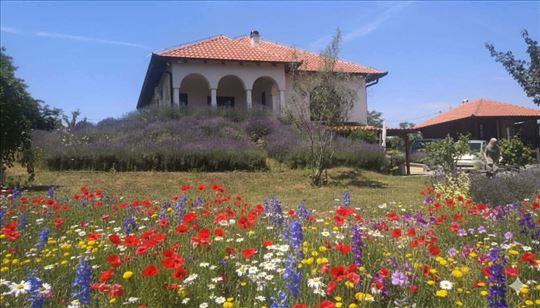  Beograd, Sopot, Babe, Rezidencijalni kompleks