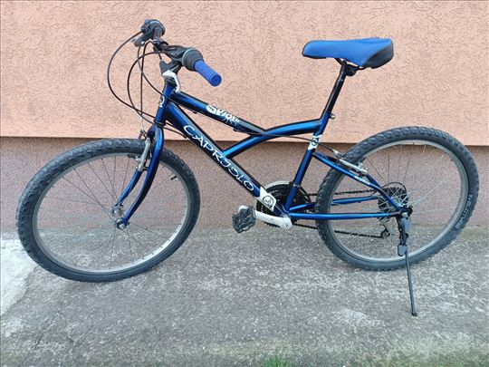 Dečiji bicikl Caprjolo Spider 24