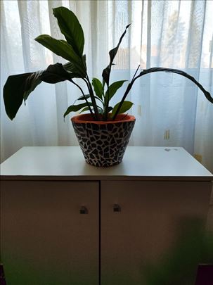 Dekorativna braon saksija za cveće , ručni rad 