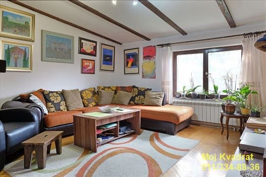 Palilula, Karaburma - Dr Nika Miljanića