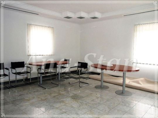 Poslovni prostor za izdavanje, Retenzija, 250m²